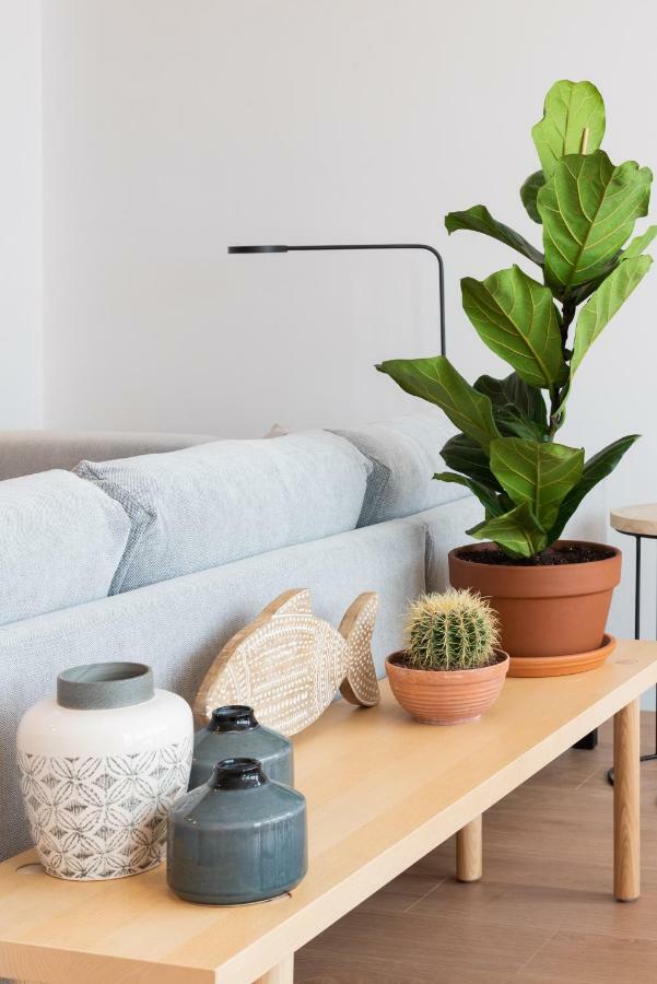 Petit Luxe L'Atic Daire Terrassa Dış mekan fotoğraf